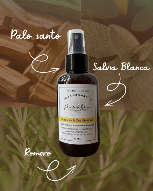 Limpieza & Purificación