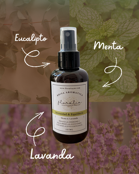 Menta & Lavanda