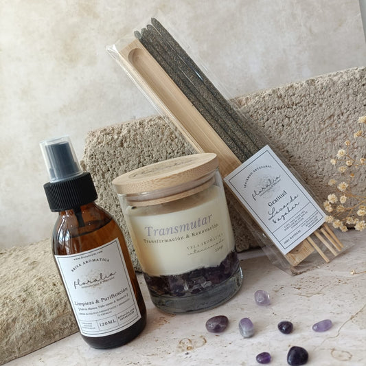 Kit TRANSMUTAR