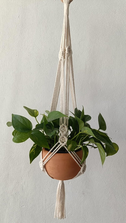 Porta macetas AGAVE